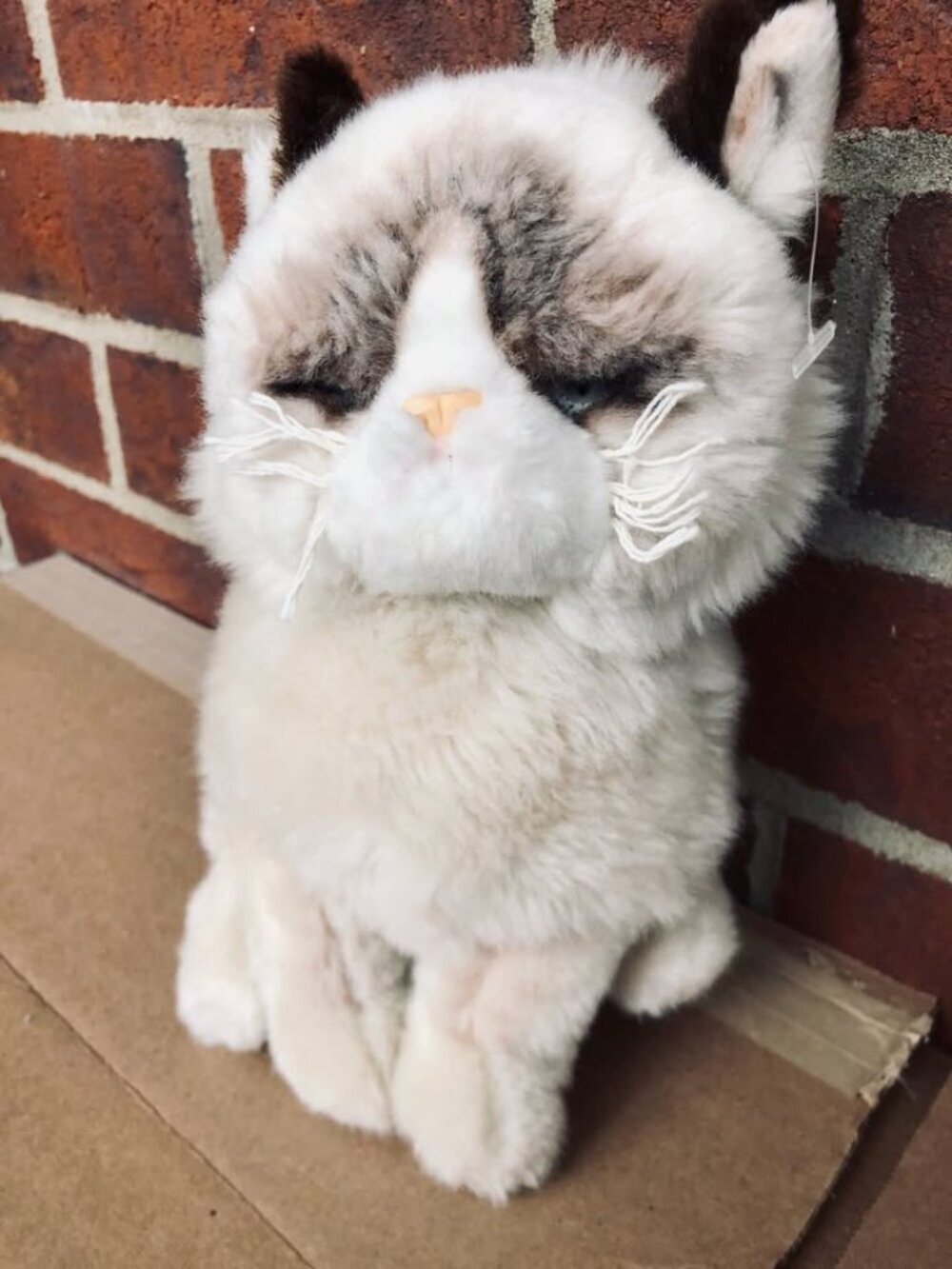Grumpy Cat GUND Plush Stuffed Animal Tan Brown 10” 4040133 Meme Cat Sitting